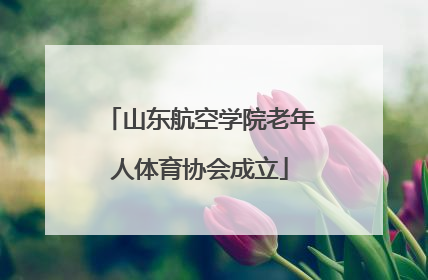 山东航空学院老年人体育协会成立